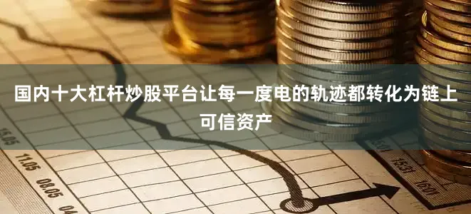 国内十大杠杆炒股平台让每一度电的轨迹都转化为链上可信资产