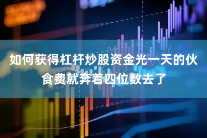 如何获得杠杆炒股资金光一天的伙食费就奔着四位数去了