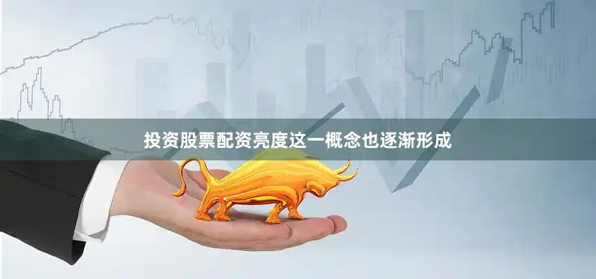 投资股票配资亮度这一概念也逐渐形成